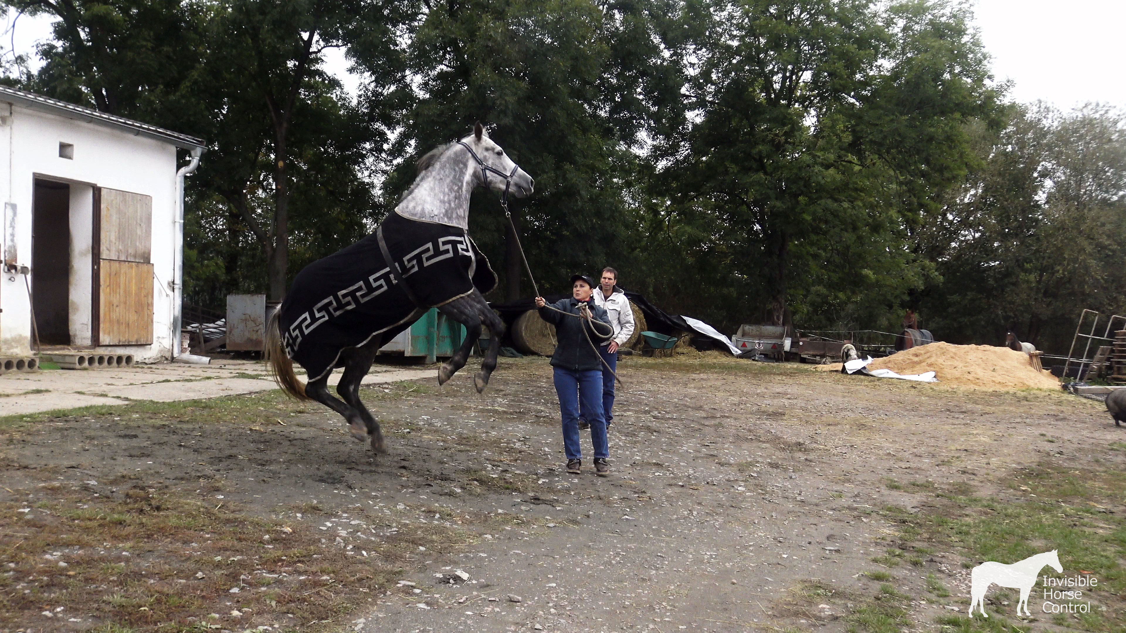 What should you do when your horse gets scared? — Invisible Horse Control